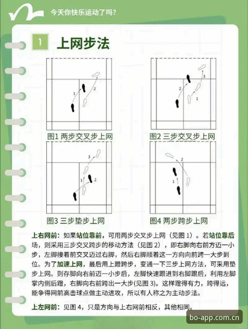 掌握beplay官网使用教程教程的核心操作，三步解决登录取数据难题